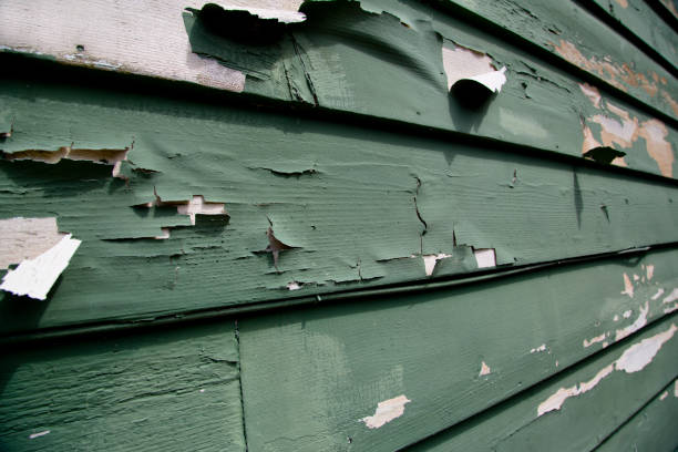 Best Stone Veneer Siding  in Alondra Park, CA