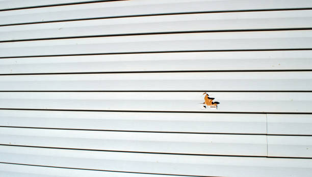 Best Siding Removal and Disposal  in Alondra Park, CA