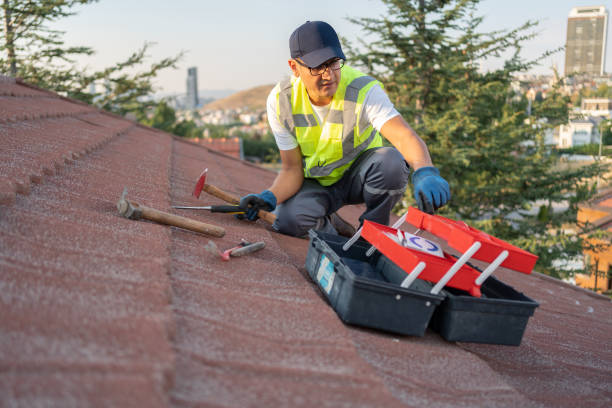 Best Engineered Wood Siding  in Alondra Park, CA