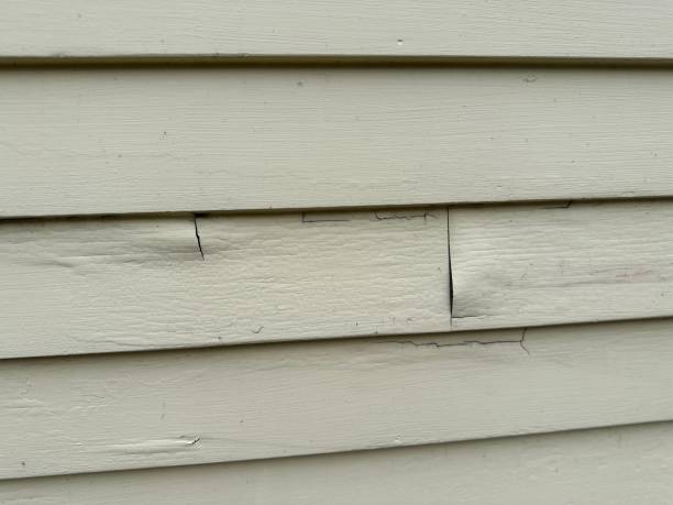 Best Weatherproofing and Sealing  in Alondra Park, CA